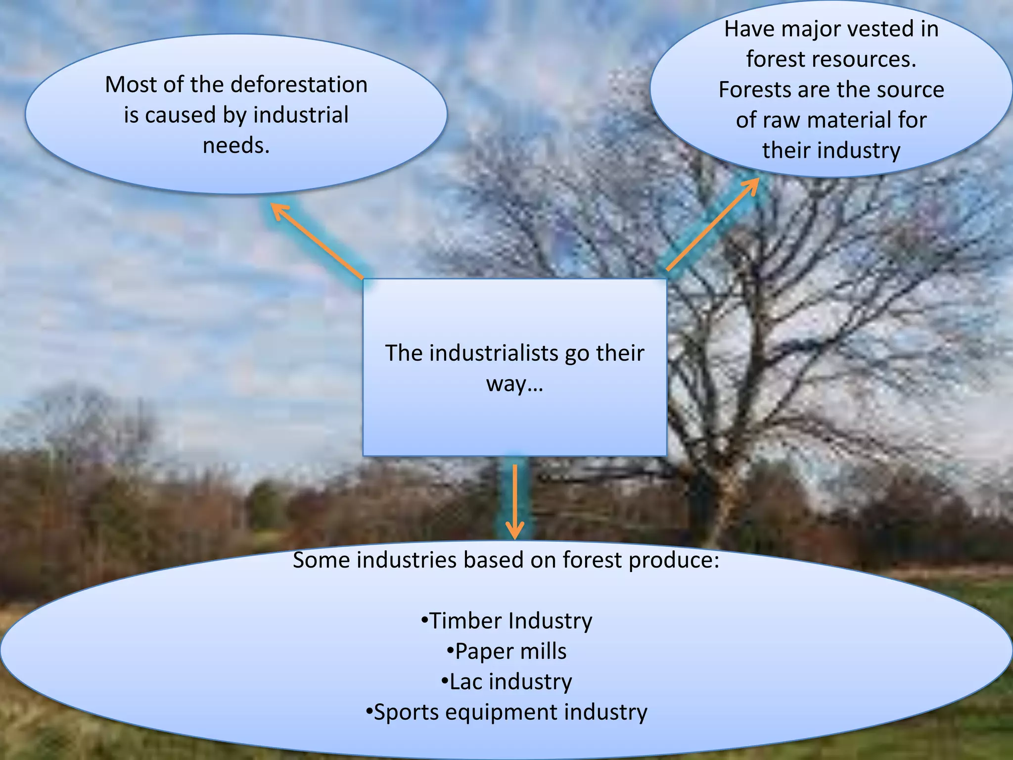 Have major vested in
forest resources.
Forests are the source
of raw material for
their industry

Most of the deforestation
is caused by industrial
needs.

The industrialists go their
way…

Some industries based on forest produce:
•Timber Industry
•Paper mills
•Lac industry
•Sports equipment industry

 