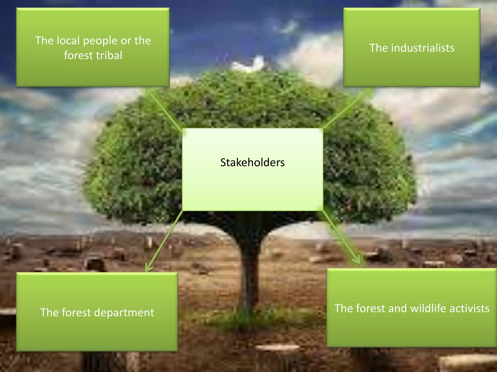 The local people or the
forest tribal

The industrialists

Stakeholders

The forest department

The forest and wildlife activists

 