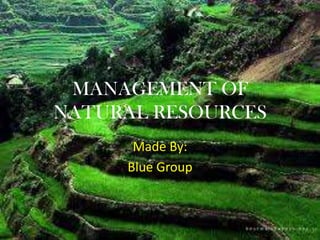 MANAGEMENT OF
NATURAL RESOURCES
Made By:
Blue Group

 