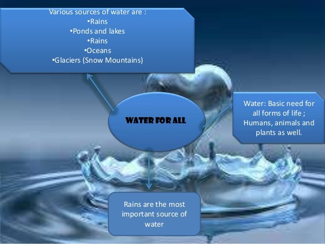 Natural Vegetation Near Water Advantages Natural Vegetation Near Water Advantages