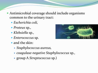  Antimicrobial coverage should include organisms
common to the urinary tract:
 Escherichia coli,
 Proteus sp.,
 Klebsiella sp.,
 Enterococcus sp.
 and the skin:
 Staphylococcus aureus,
 coagulase-negative Staphylococcus sp.,
 group A Streptococcus sp.)
 