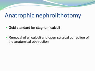 Anatrophic nephrolithotomy
 Gold standard for staghorn calculi
 Removal of all calculi and open surgical correction of
the anatomical obstruction
 