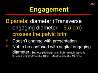 management-of-normal-labor-process-and-pelvis-ppt