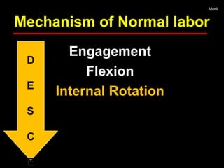 Management of normal labor process and pelvis | PPT