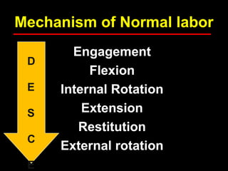 Management of normal labor process and pelvis | PPT