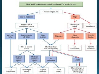 Management of Non Small Cell Lung Cancers | PPTX