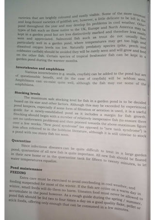 ORNAMENTAL FISH FARM MANAGEMENT