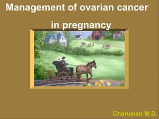 Management of ovarian cancer   in pregnancy Charuwan M.D. 