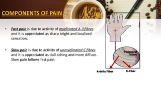 Management of pain | PPTX