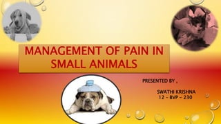 MANAGEMENT OF PAIN IN
SMALL ANIMALS
PRESENTED BY ,
SWATHI KRISHNA
12 – BVP - 230
 