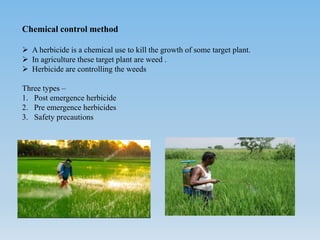 Management of perennial.pptx