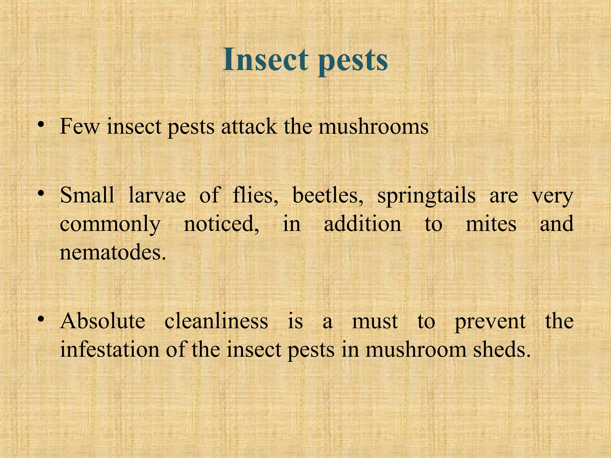 Insect pests
• Few insect pests attack the mushrooms
• Small larvae of flies, beetles, springtails are very
commonly noticed, in addition to mites and
nematodes.
• Absolute cleanliness is a must to prevent the
infestation of the insect pests in mushroom sheds.
 