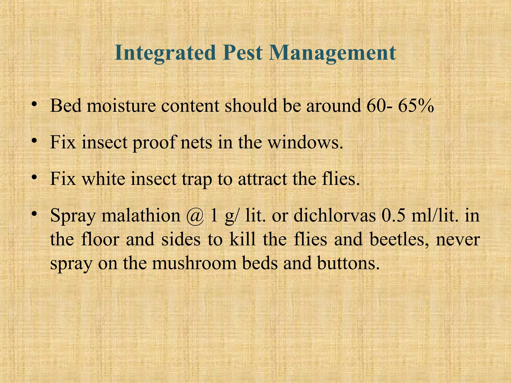 Integrated Pest Management
• Bed moisture content should be around 60- 65%
• Fix insect proof nets in the windows.
• Fix white insect trap to attract the flies.
• Spray malathion @ 1 g/ lit. or dichlorvas 0.5 ml/lit. in
the floor and sides to kill the flies and beetles, never
spray on the mushroom beds and buttons.
 