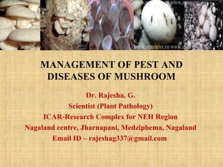 MANAGEMENT OF PEST AND
DISEASES OF MUSHROOM
Dr. Rajesha, G.
Scientist (Plant Pathology)
ICAR-Research Complex for NEH Region
Nagaland centre, Jharnapani, Medziphema, Nagaland
Email ID – rajeshag337@gmail.com
 