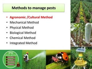 Management of pests through agronomic practices | PPTX