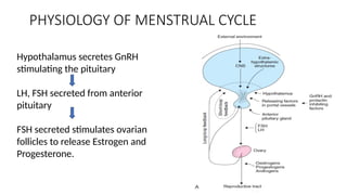 PHYSIOLOGY OF MENSTRUAL CYCLE
Hypothalamus secretes GnRH
stimulating the pituitary
LH, FSH secreted from anterior
pituitary
FSH secreted stimulates ovarian
follicles to release Estrogen and
Progesterone.
 