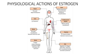 PHYSIOLOGICAL ACTIONS OF ESTROGEN
 