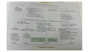 Obstetrics: Management of Pre Eclampsia. | PPTX