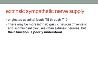 extrinsic sympathetic nerve supply
• originates at spinal levels T5 through T10
• There may be more intrinsic gastric neurons(myenteric
and submucosal plexuses) than extrinsic neurons, but
their function is poorly understood
 