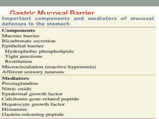 Gastric Mucosal Barrier
 