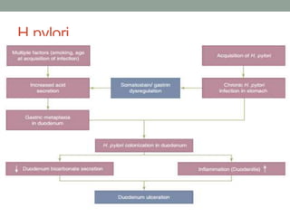 H.pylori
 