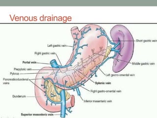 Venous drainage
 