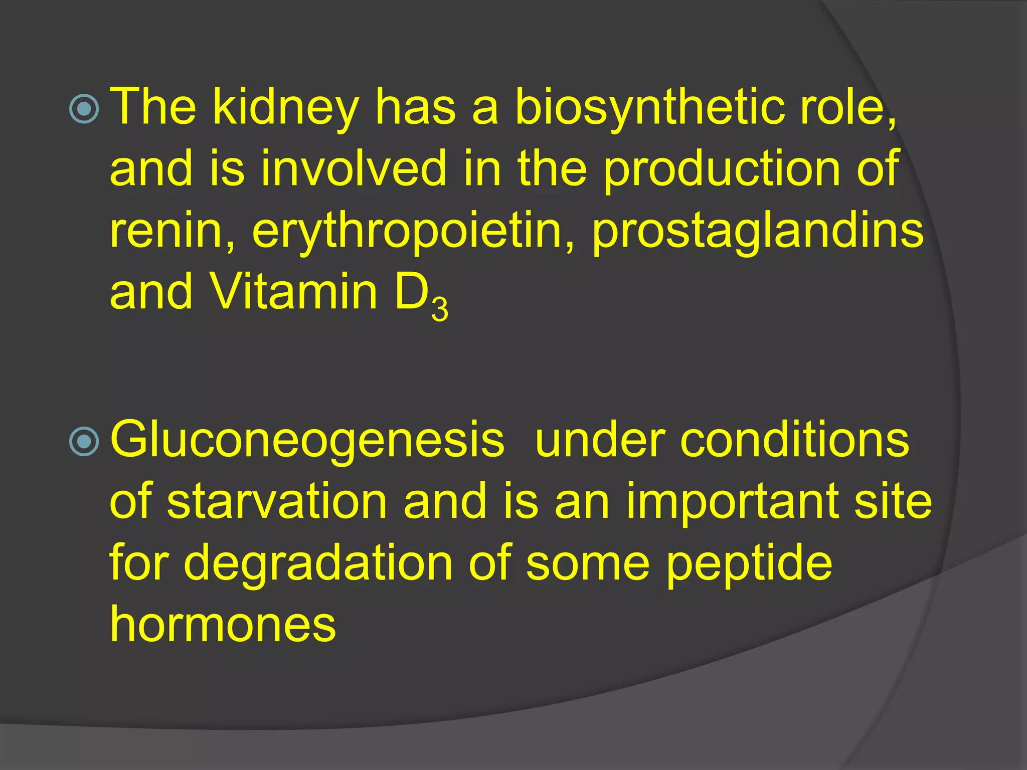 Management Of Renal Disease In Dog Photo Inspiration