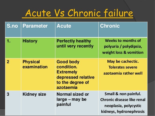 gabapentin and kidney disease in dogs