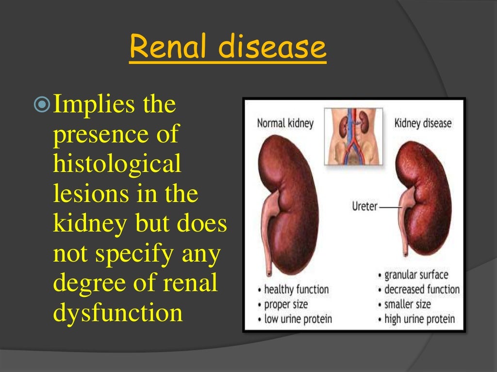 gabapentin and kidney failure in dogs
