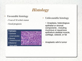 Management of renal cell carcinoma and wilms' tumor | ODP
