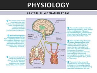 Management of Respiratory Failure | PPTX