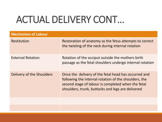 Management of second stage in labor.ppt.ppt