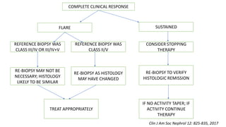 Sle Management Algorithm management of SLE.pptx