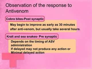Observation of the response to
Antivenom
Cobra bites-Post synaptic
  May begin to improve as early as 30 minutes
  after anti-venom, but usually take several hours.

Krait and sea snakes- Pre synaptic
   Depends on the timing of ASV
   administration
   If delayed may not produce any action or
   Minimal delayed action
 
