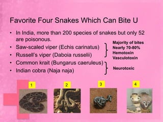Favorite Four Snakes Which Can Bite U
• In India, more than 200 species of snakes but only 52
  are poisonous.
                                          Majority of bites
• Saw-scaled viper (Echis carinatus)      Nearly 70-80%
                                          Hemotoxin
• Russell’s viper (Daboia russelii)       Vasculotoxin
• Common krait (Bungarus caeruleus)
                                          Neurotoxic
• Indian cobra (Naja naja)

        1               2              3              4
 