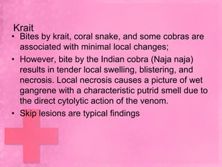 Krait
• Bites by krait, coral snake, and some cobras are
  associated with minimal local changes;
• However, bite by the Indian cobra (Naja naja)
  results in tender local swelling, blistering, and
  necrosis. Local necrosis causes a picture of wet
  gangrene with a characteristic putrid smell due to
  the direct cytolytic action of the venom.
• Skip lesions are typical findings
 