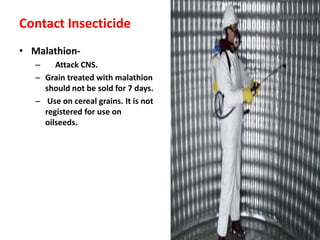 Management of stored grain insect pest | PPTX