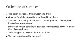 Collection of samples
 The lesion is cleansed with water and dried
 Grasped firmly between the thumb and index finger
 Abraded sufficiently to cause clear or faintly blood- stained plasma
to exude when squeezed
 Surface of a clean coverslip is touched to the surface of the lesion so
that plasma adheres
 Then dropped on a slide and pressed down
 The specimen is quickly examined
 
