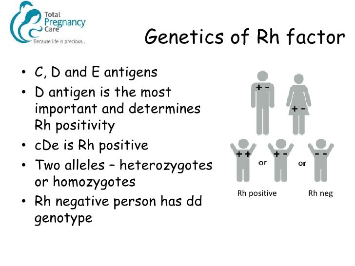 Management of the Rhesus Negative Mother Management of the Rhesus Negative Mother