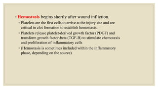 ◦ Hemostasis begins shortly after wound infliction.
◦ Platelets are the first cells to arrive at the injury site and are
critical in clot formation to establish hemostasis.
◦ Platelets release platelet-derived growth factor (PDGF) and
transform growth factor-beta (TGF-B) to stimulate chemotaxis
and proliferation of inflammatory cells
◦ (Hemostasis is sometimes included within the inflammatory
phase, depending on the source)
 