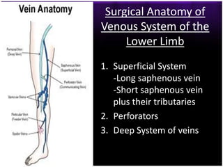 Surgical Anatomy of
Venous System of the
     Lower Limb
1. Superficial System
   -Long saphenous vein
   -Short saphenous vein
   plus their tributaries
2. Perforators
3. Deep System of veins
 