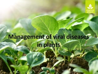 Management of viral diseases
in plants
 