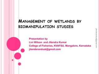 MANAGEMENT

OF WETLANDS BY

Presentation by
Livi Wilson and Jitendra Kumar
College of Fisheries, KVAFSU, Mangalore, Karnataka
jitenderanduat@gmail.com

jitenderanduat@gmail.com

BIOMANIPULATION STUDIES

 