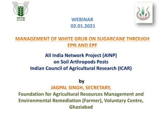 All India Network Project (AINP)
on Soil Arthropods Pests
Indian Council of Agricultural Research (ICAR)
by
JAGPAL SINGH, SECRETARY,
Foundation for Agricultural Resources Management and
Environmental Remediation (Farmer), Voluntary Centre,
Ghaziabad
WEBINAR
02.01.2021
 