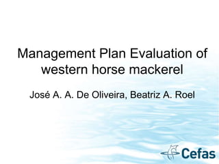 Management Plan Evaluation of
western horse mackerel
José A. A. De Oliveira, Beatriz A. Roel
 