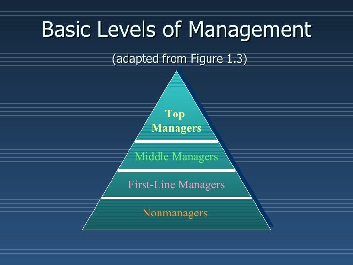 Types Management Information System Pdf