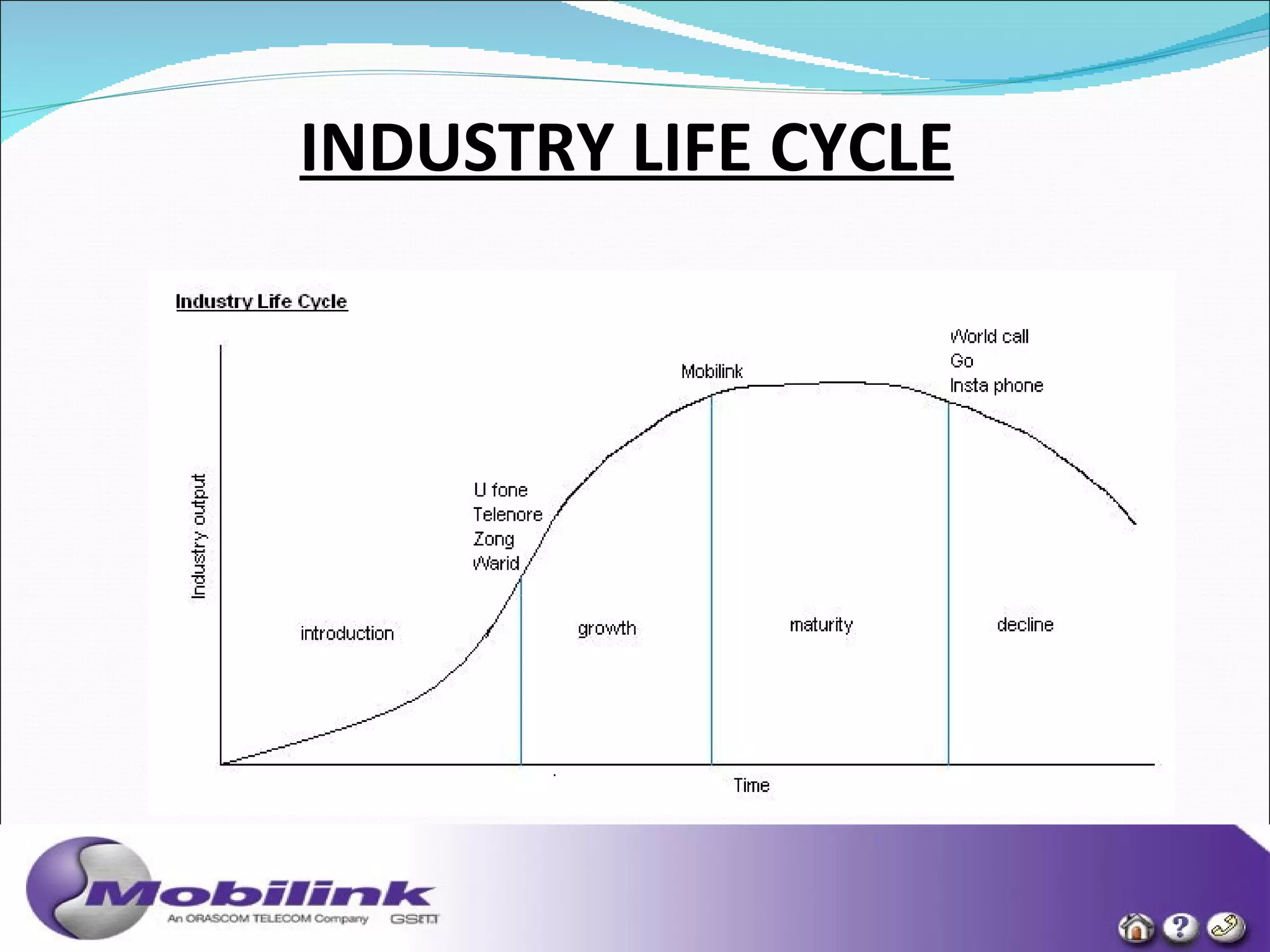 INDUSTRY LIFE CYCLE   
