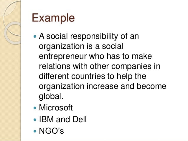 social organization examples