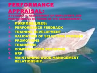 PERFORMANCE
APPRAISAL:
SYSTEMATIC ASSESSMENT OF EMPLOYEE’S JOB
PERFORMANCE IN TERMS OF ITS REQUIREMENT.
• PURPOSE/USES:
1. PERFORMANCE FEEDBACK
2. TRAINING DEVELOPMENT
3. VALIDATION OF SELECTION PROCESS
4. PROMOTIONS
5. TRANSFERS
6. COMPENSATION DECISIONS
7. HRP
8. MAINTAINING GOOD MANAGEMENT
RELATIONSHIP.
 