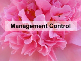 Management Control 